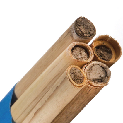Shop Mason Bee Houses