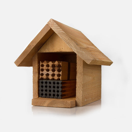 mason bee house