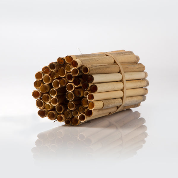 50 Reeds Small